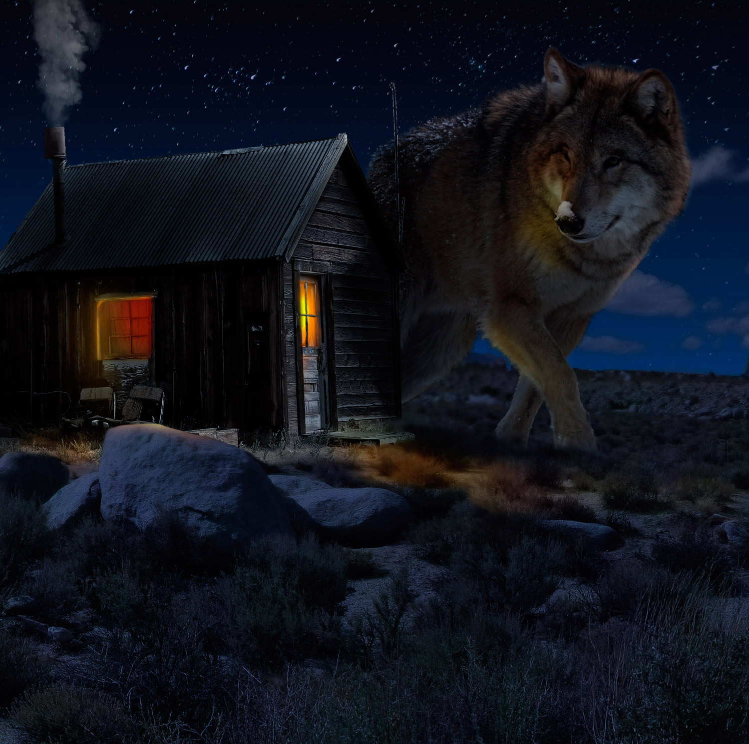 Matte painting Wolf