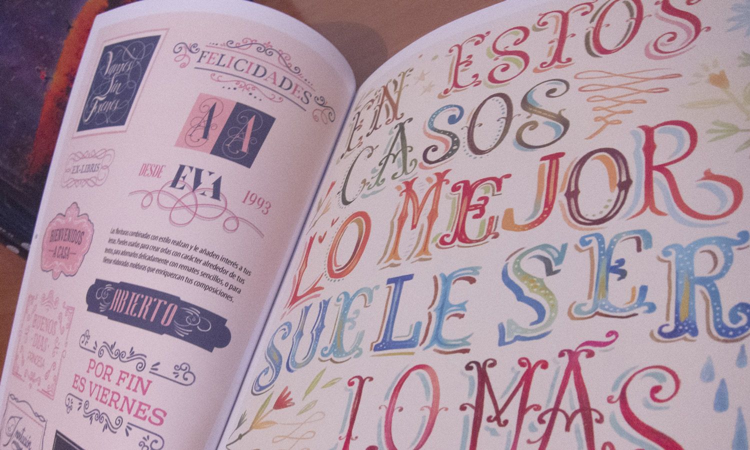 libro para aprender lettering