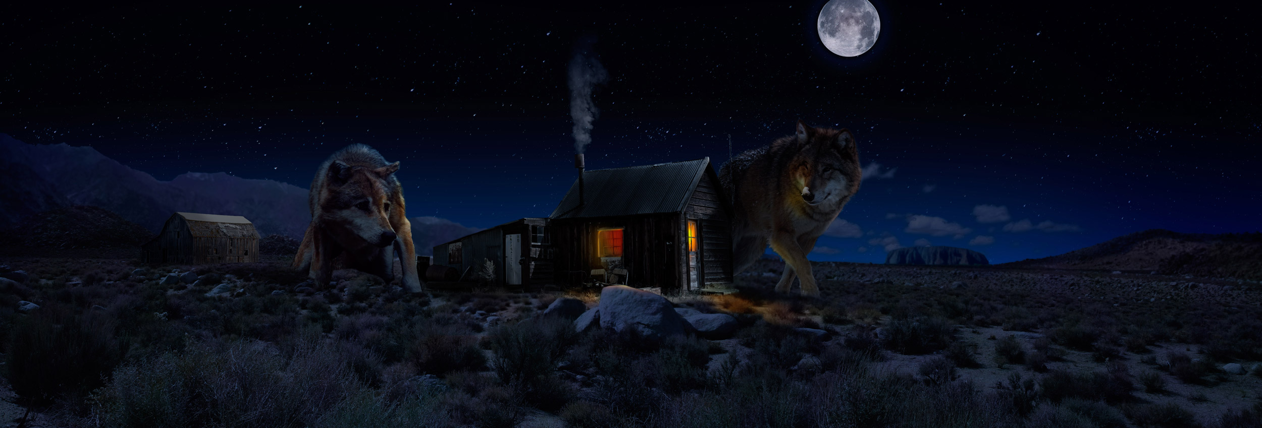 Matte painting - desierto con lobos